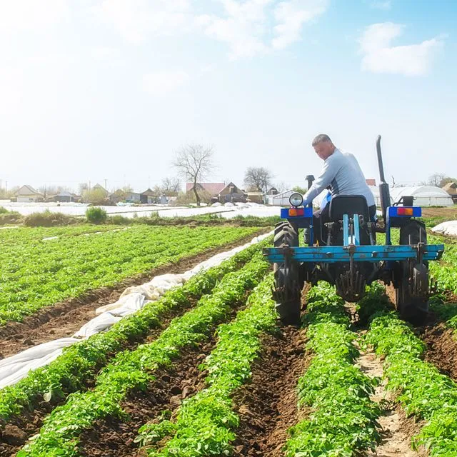 thumbnail for publication: Characteristics of Small Farm Operators in Florida: Economics, Demographics, and Preferred Information Channels and Sources